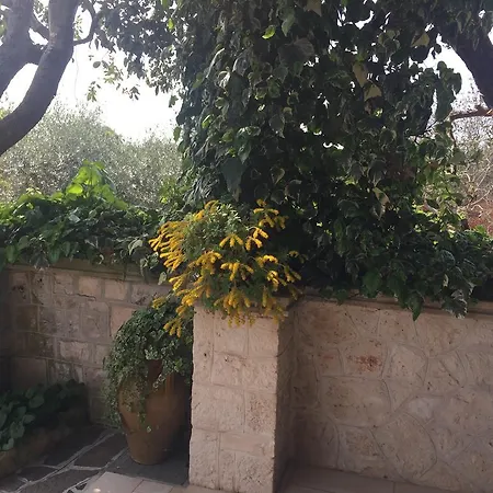 Il Trullo Di Nonno Angelo San Marco Hotel Locorotondo Exterior photo