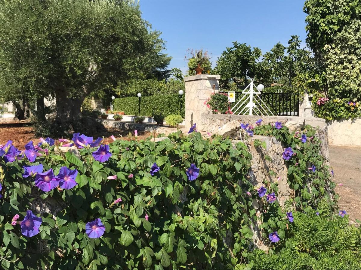 Pensión Il Trullo Di Nonno Angelo San Marco Locorotondo