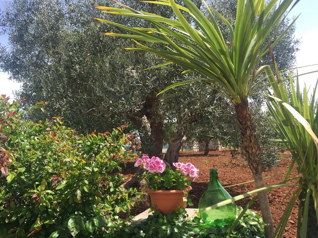 Il Trullo Di Nonno Angelo San Marco *